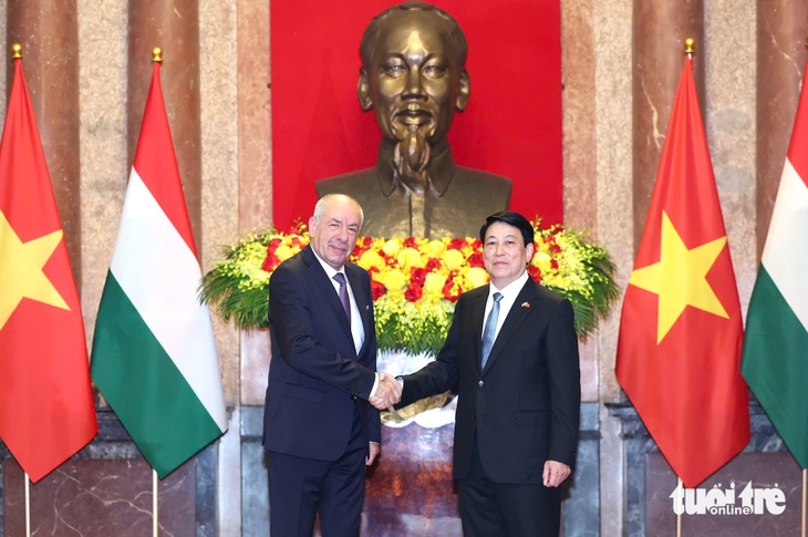 Chủ tịch nước Lương Cường chủ trì lễ đón, hội đàm với Tổng thống Hungary - Ảnh 6.