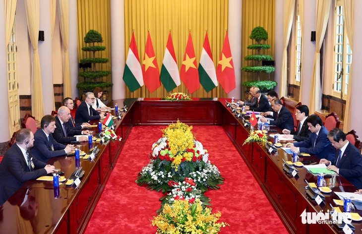 Chủ tịch nước Lương Cường chủ trì lễ đón, hội đàm với Tổng thống Hungary - Ảnh 7.