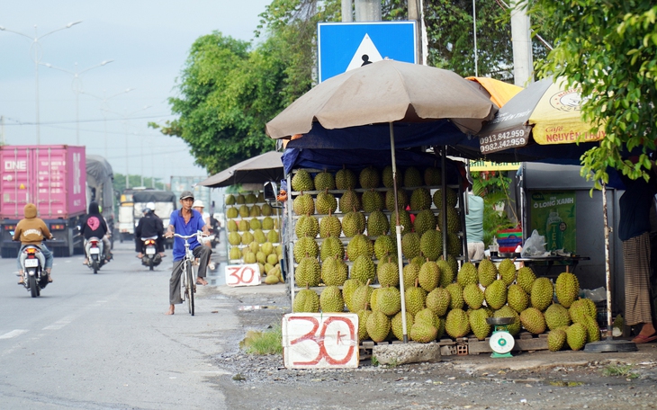 Thủ tướng chỉ đạo loạt giải pháp khắc phục tình trạng nông sản 'được mùa mất giá' - Ảnh 2.