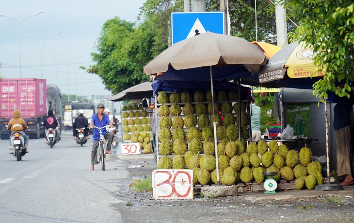 Chất lượng nông sản Việt Nam: trách nhiệm, hệ lụy và giải pháp - Ảnh 1. nông sản - Ảnh 1.