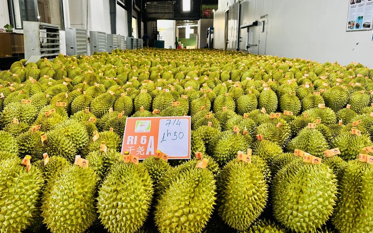 Để quả 'sầu riêng' thành trái 'vui chung' - Ảnh 3.