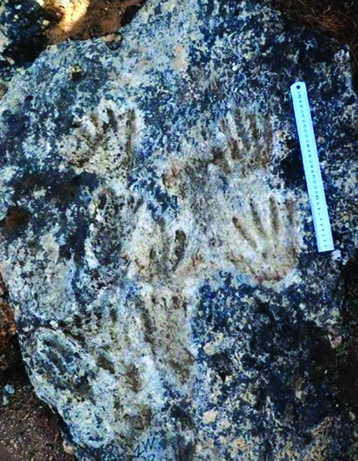 nét vẽ trẻ thơ - Ảnh 2.