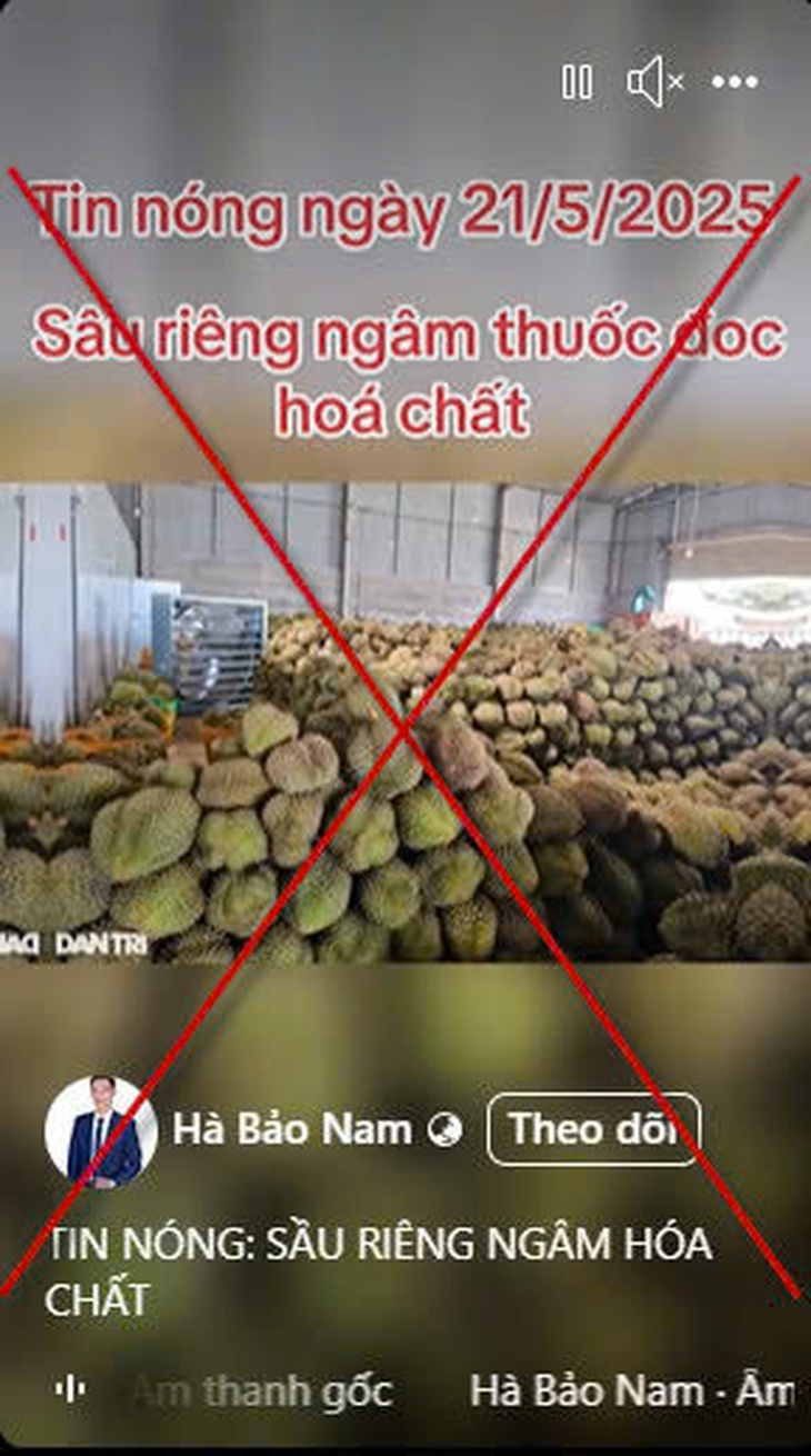 sầu riêng - Ảnh 1.