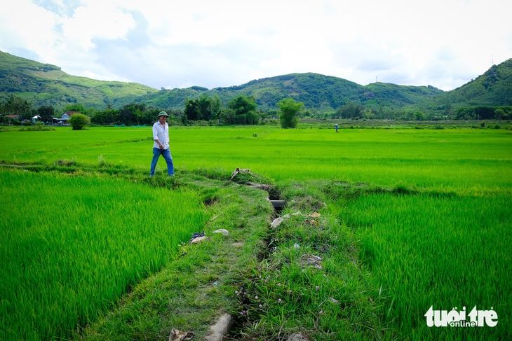 kênh mương - Ảnh 1.