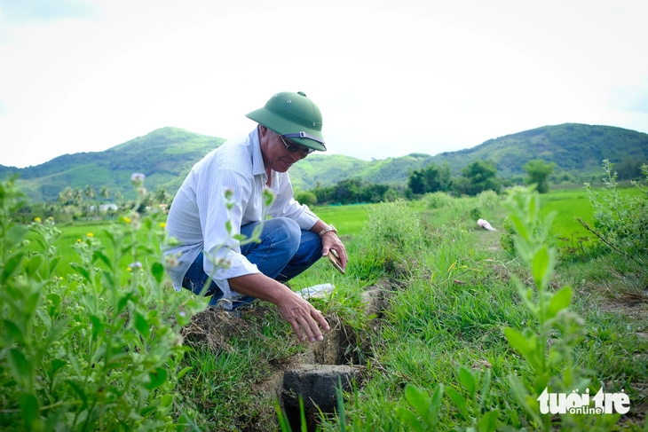 kênh mương - Ảnh 2.