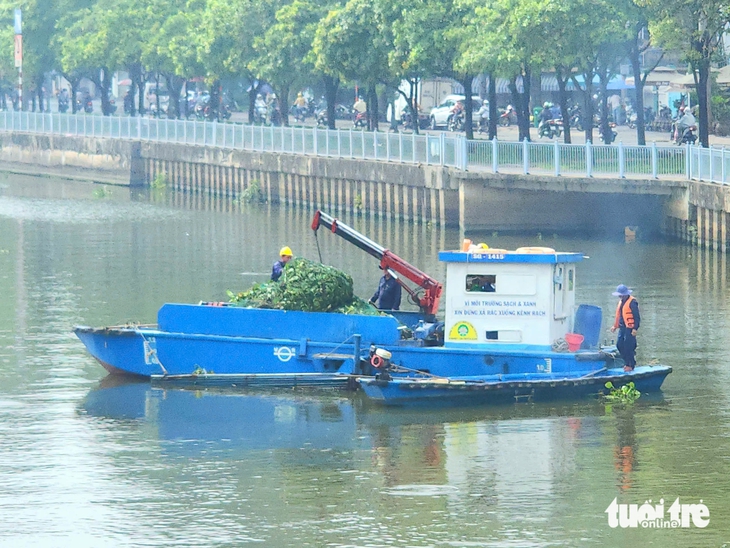 Lục bình phủ kín nhiều đoạn kênh Nhiêu Lộc, mỗi ngày vớt gần 9 tấn - Ảnh 2.