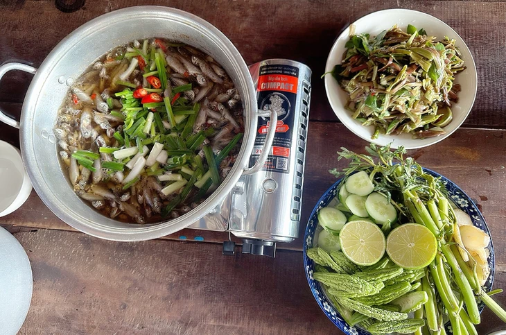Đồng Tháp, điểm đến hấp dẫn với nhiều mô hình du lịch - Ảnh 3. Đồng Tháp - Ảnh 3.
