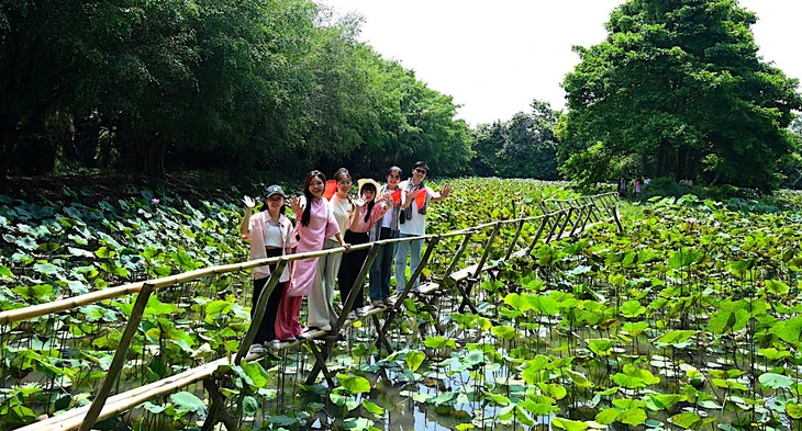 Đồng Tháp, điểm đến hấp dẫn với nhiều mô hình du lịch - Ảnh 6. Đồng Tháp - Ảnh 6.