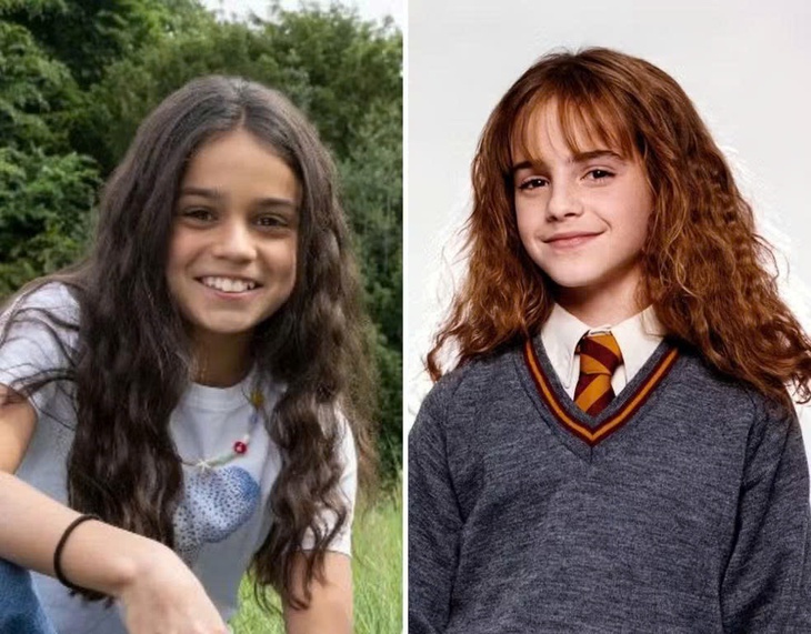 Harry Potter - Ảnh 4.