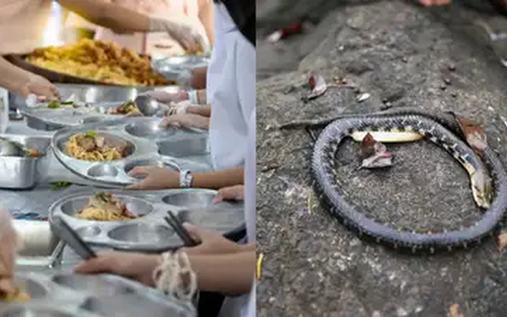 Thả 2 con rắn trong chung cư vì chó nhà hàng xóm sủa quá ồn - Ảnh 3.