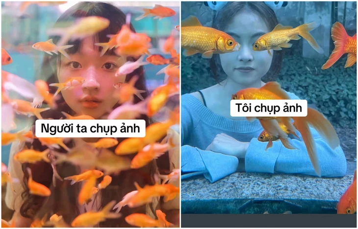 vệ sinh - Ảnh 4.