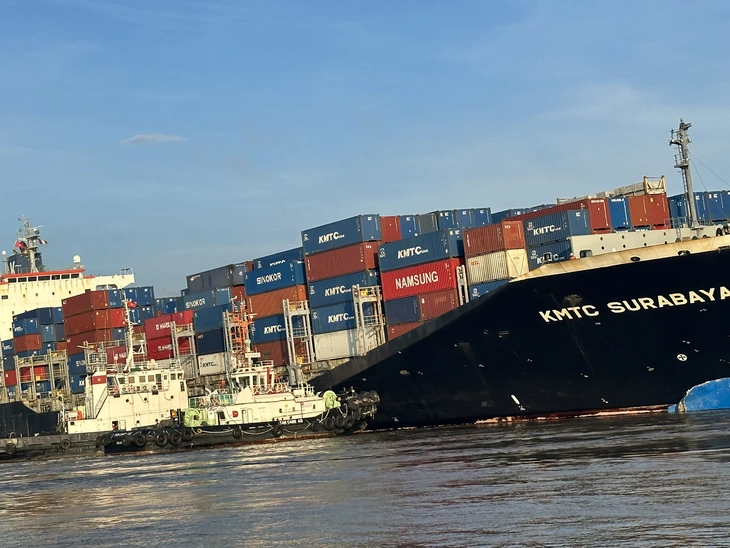 17ha rừng Cần Giờ bị dầu loang sau sự cố, các đơn vị khẩn trương xử lý - Ảnh 1.