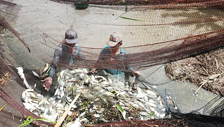 Mùa chụp đìa xứ bác Ba Phi - Ảnh 2. chụp đìa - Ảnh 2.