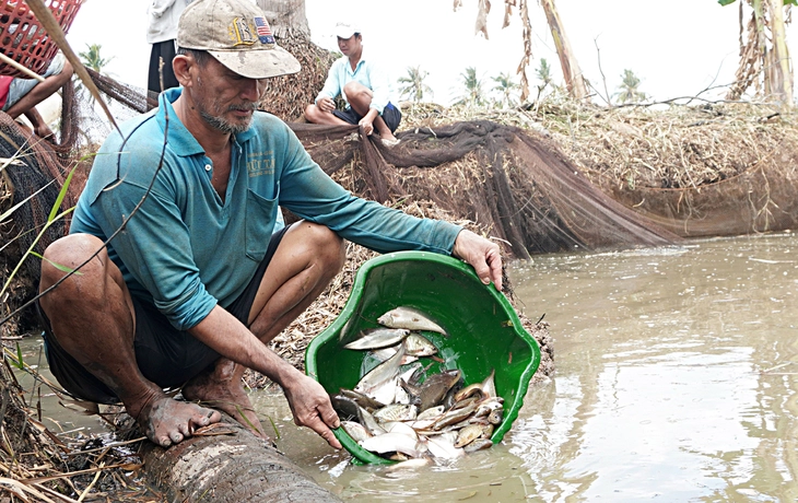 Mùa chụp đìa xứ bác Ba Phi - Ảnh 4. chụp đìa - Ảnh 4.