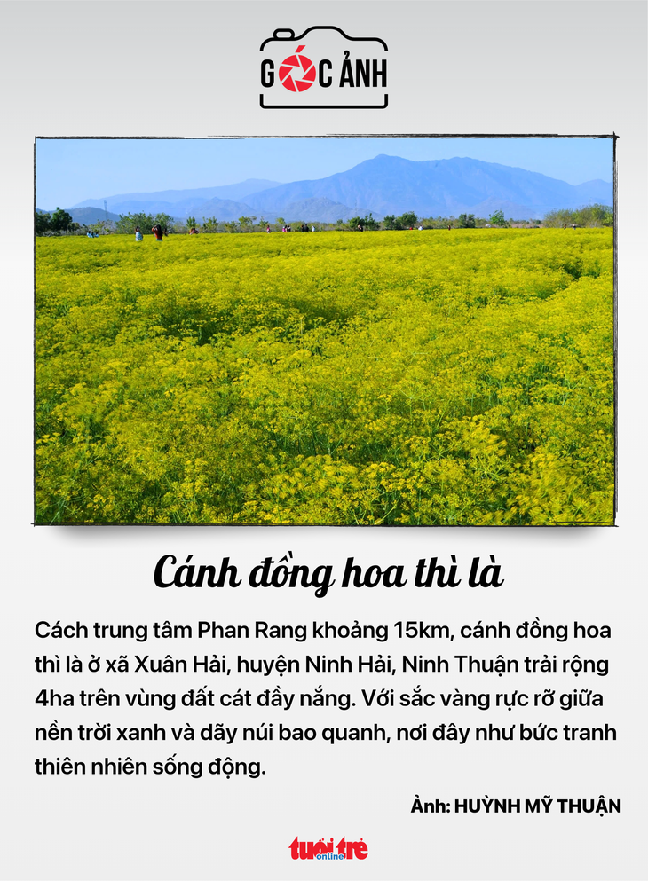 tin tức - Ảnh 7.