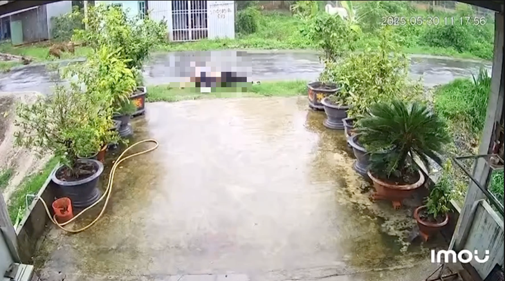 Hai người đi xe máy vướng dây điện, bị điện giật tử vong - Ảnh 1. điện giật - Ảnh 1.