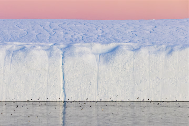 National Geographic - Ảnh 10.