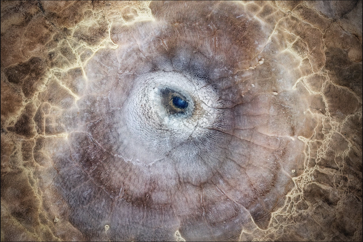 National Geographic - Ảnh 3.