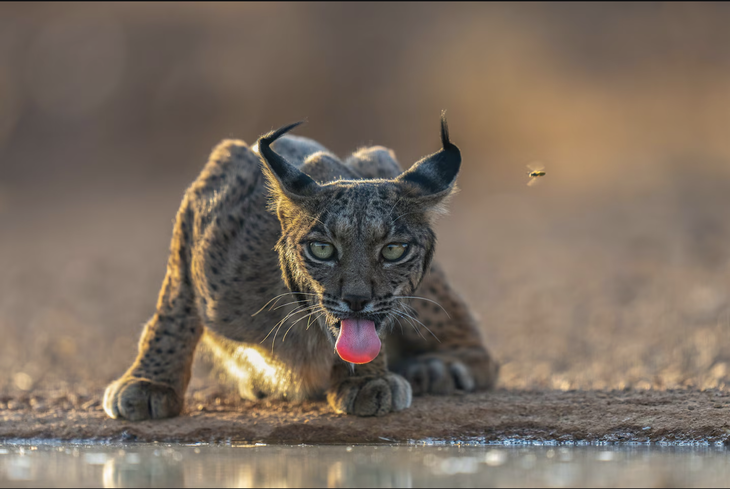 National Geographic - Ảnh 8.