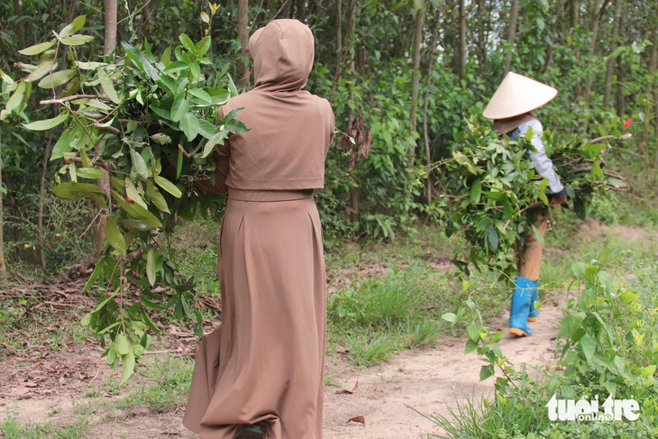 Tết Đoan Ngọ - Ảnh 3.
