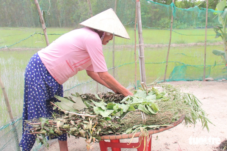 Tết Đoan Ngọ - Ảnh 4.