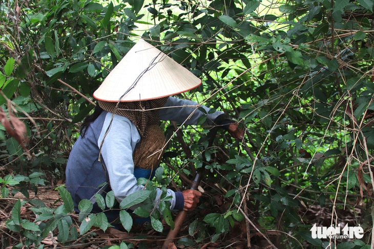 Tết Đoan Ngọ - Ảnh 6.