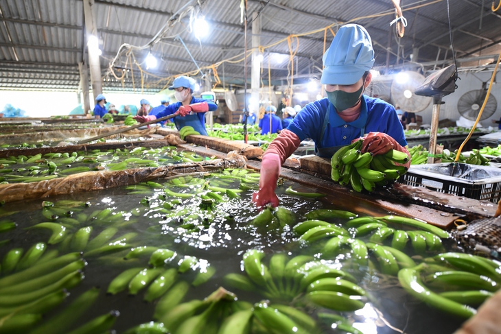 Môi trường kinh doanh tốt, doanh nghiệp sẽ lớn mạnh - Ảnh 5. Môi trường kinh doanh tốt, doanh nghiệp sẽ lớn mạnh - Ảnh 5.
