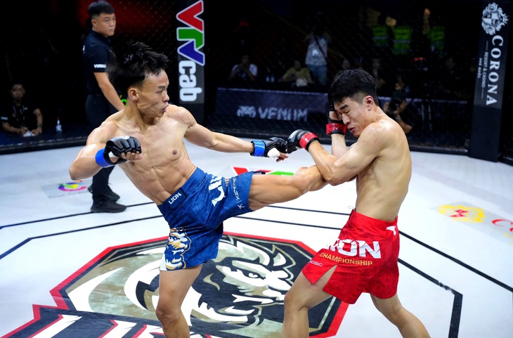 MMA - Ảnh 2.