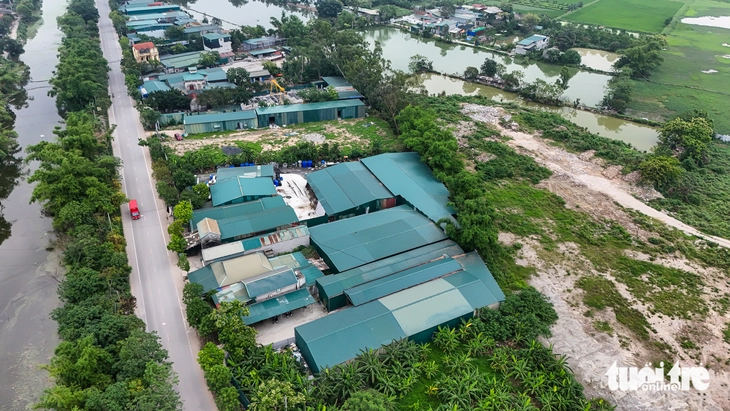 nông nghiệp - Ảnh 10.