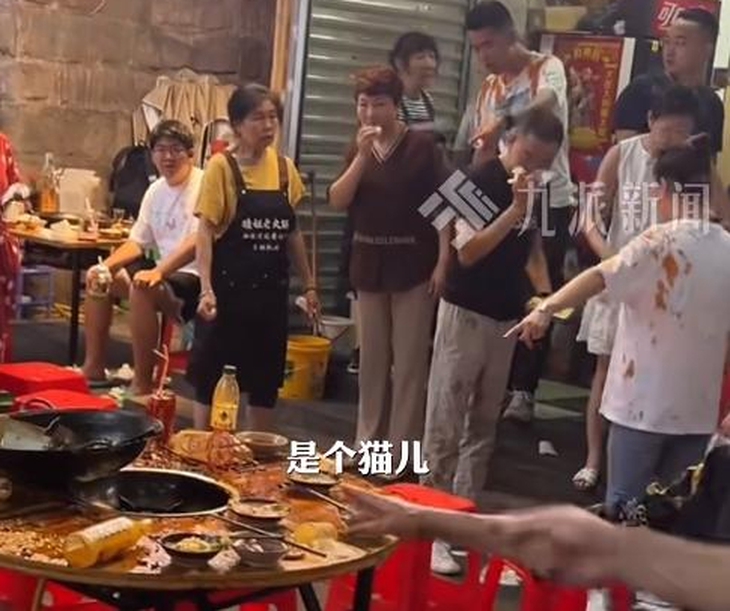 Mèo hoang rơi vào nồi lẩu, 9 thực khách bị bỏng - Ảnh 1. nồi lẩu - Ảnh 1.