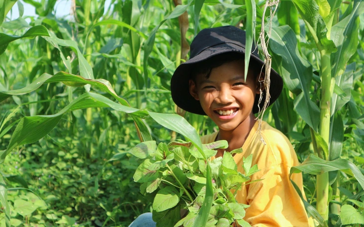Đời hái lượm thuê - Ảnh 4.