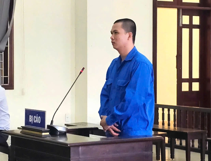 Trưởng bộ phận bán thuốc trừ sâu chiếm đoạt tiền thu từ đại lý, nhận 27 năm tù - Ảnh 1.