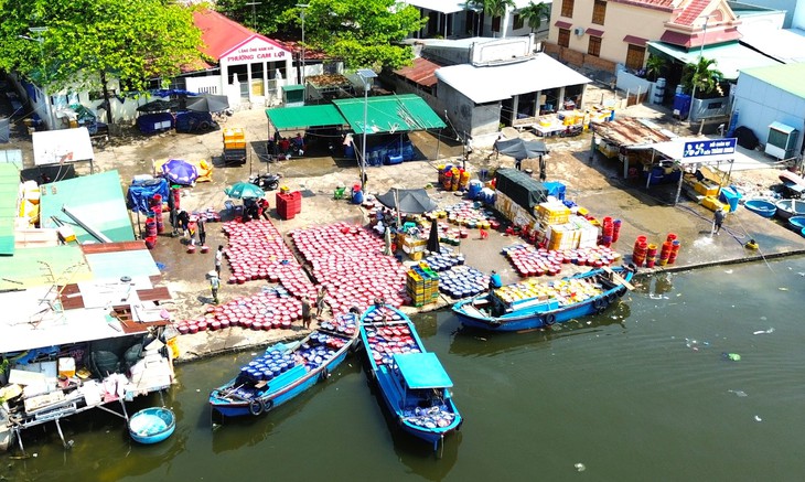 Vụ phường đột ngột thay đổi đơn vị thu phí ở bến cá Lăng Ông: Chấm dứt toàn bộ việc thu phí - Ảnh 1. bến cá - Ảnh 1.