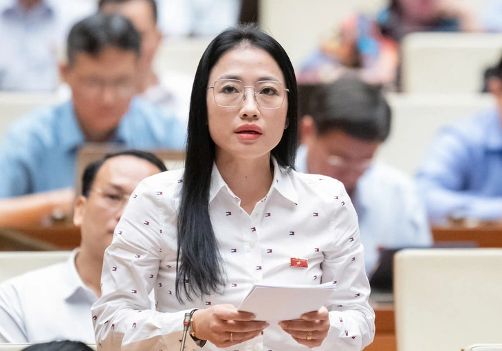 dạy thêm - Ảnh 1.