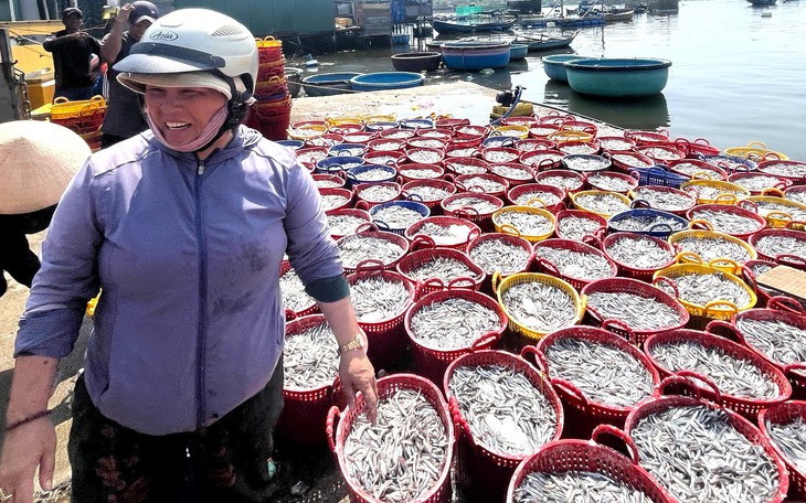 Đi gửi hàng, chành xe thu 15.000 đồng/xe máy, 70.000 đồng/ôtô có đúng quy định? - Ảnh 4.