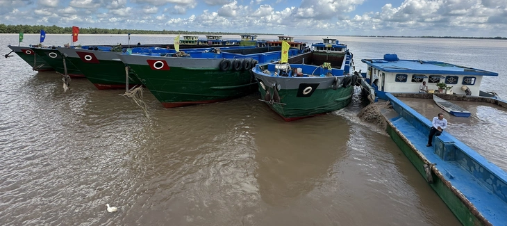 KHAI THÁC CÁT BIỂN - Ảnh 1.