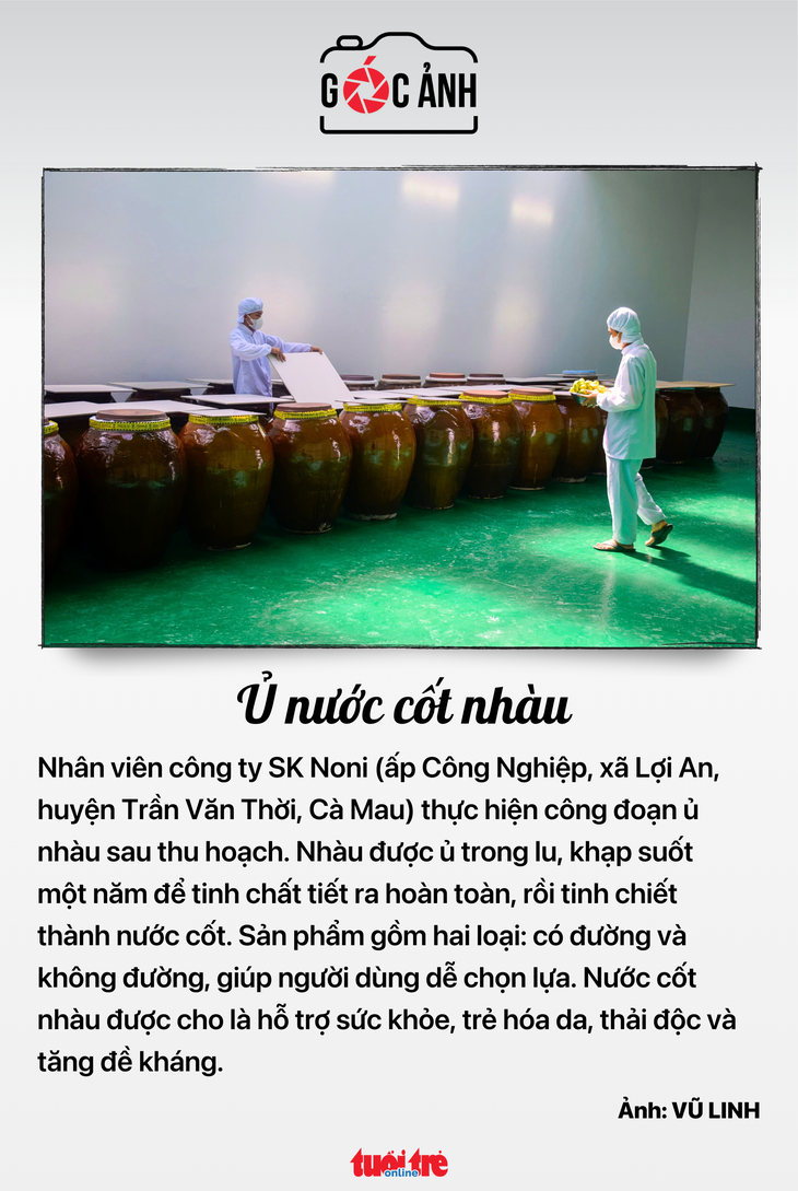 trợ cấp thất nghiệp - Ảnh 6.