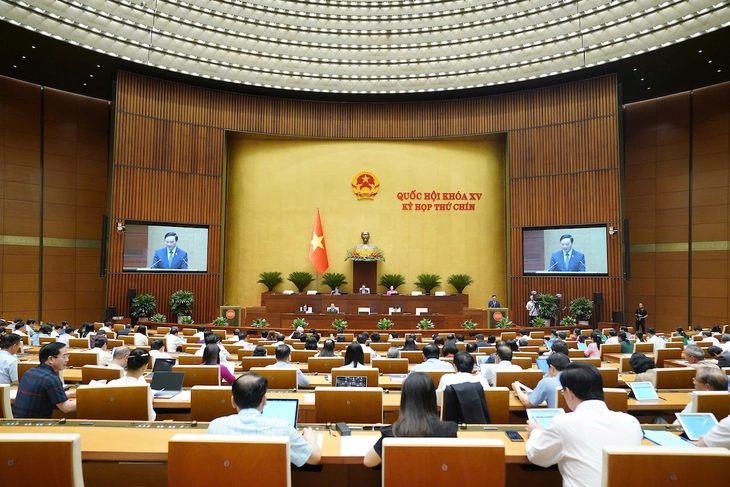hiến pháp - Ảnh 1.