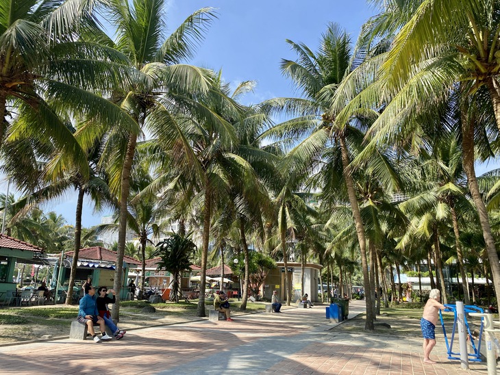Đà Nẵng - Ảnh 2.