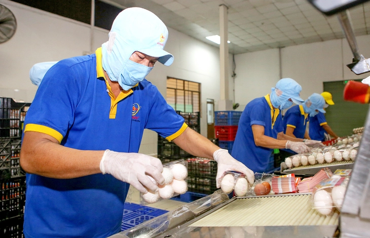 2 triệu doanh nghiệp cùng làm giàu - Ảnh 2. doanh nghiệp - Ảnh 2.