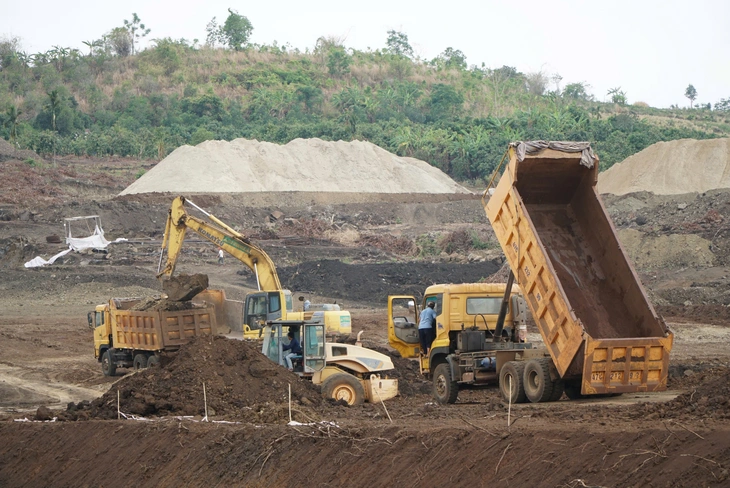 Giữ tiền đền bù của dân vì chờ quy định mật độ cây trồng - Ảnh 2.