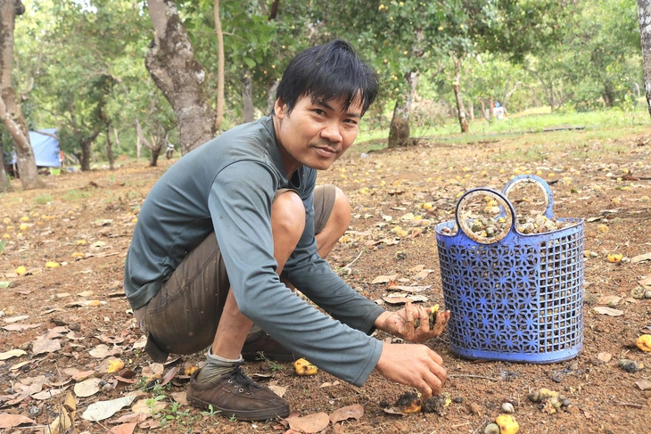 hái lượm - Ảnh 2.