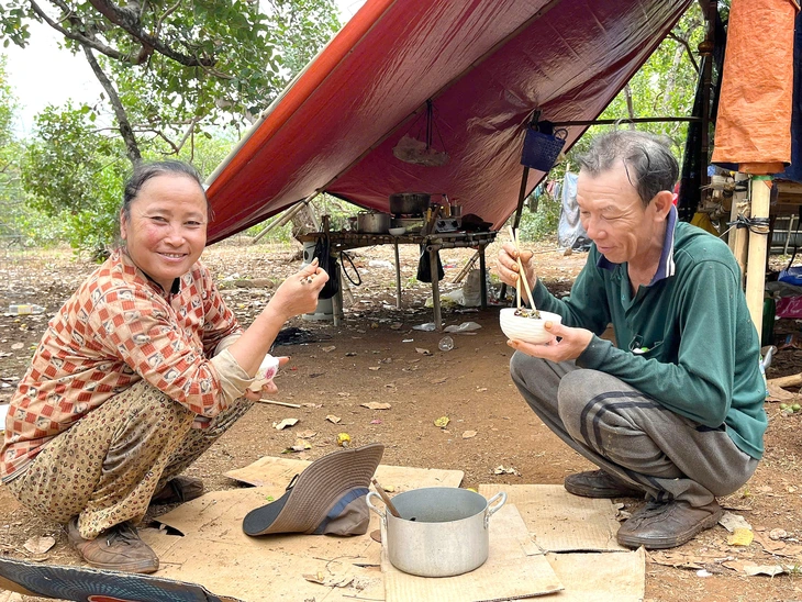 hái lượm - Ảnh 1.