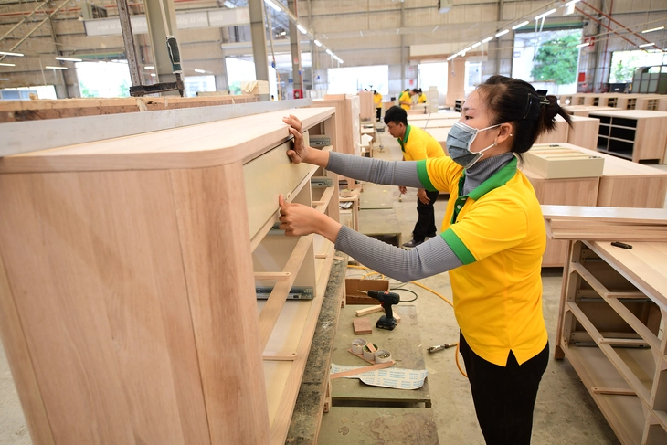 Nhà nhập khẩu Mỹ tìm đơn hàng từ Việt Nam - Ảnh 1. nhập khẩu mỹ - Ảnh 1.