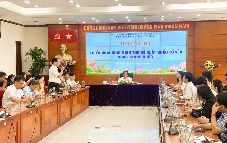tổ yến - Ảnh 1.