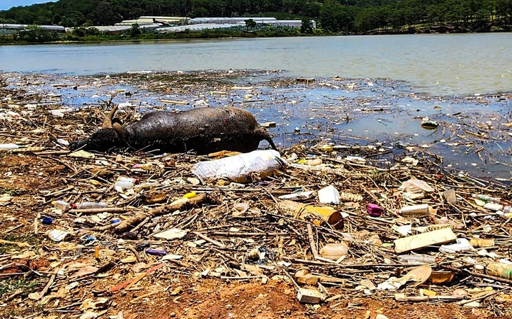 'Bãi rác chất cao như núi' gây quá tải ngừng tiếp nhận rác - Ảnh 4.