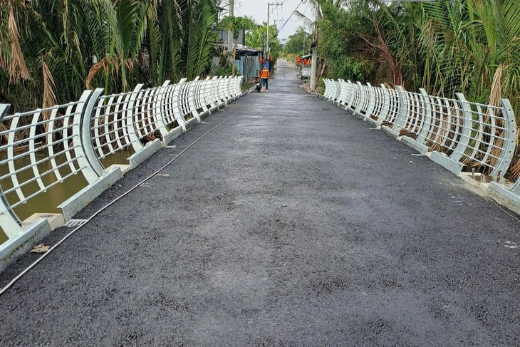 Bình Chánh - Ảnh 1.