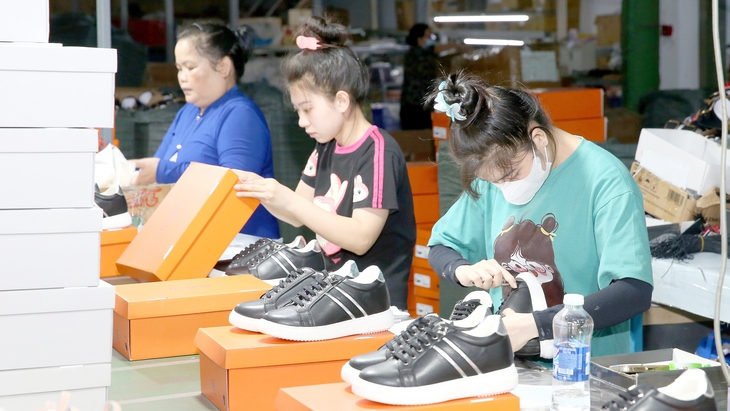 Tăng giá điện 4,8% người dân thêm lo, lỗ của EVN vẫn treo - Ảnh 2.