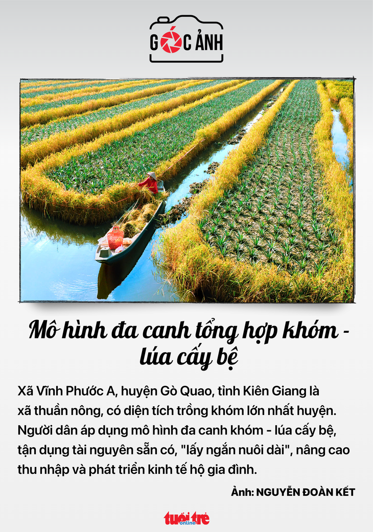 tin tức - Ảnh 8.