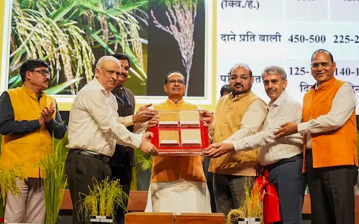 Độc lạ lúa mì chỉnh sửa gene có khả năng 'tự tạo' phân bón - Ảnh 3.